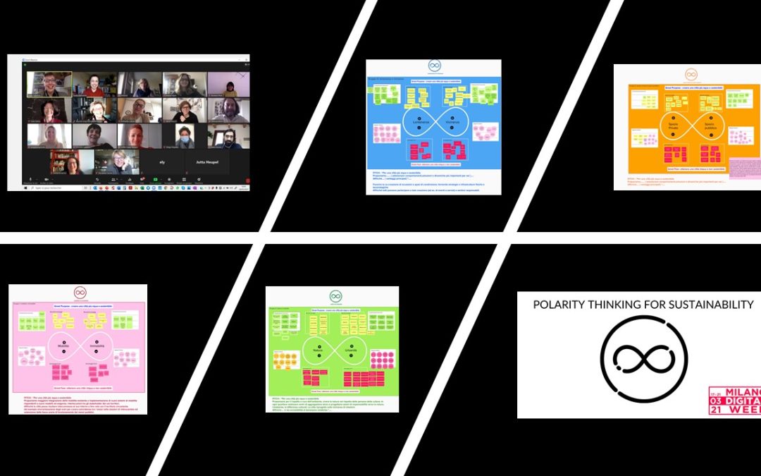 Polarity Thinking for sustainability
