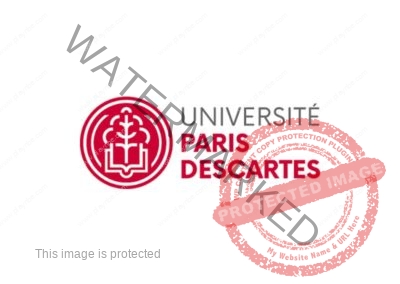 Play "n" Be - clients: Université Paris Descartes
