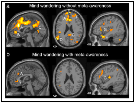 Schermata 2024-10-21 alle 14.16.43 mind wandering nel Creative Problem Solving